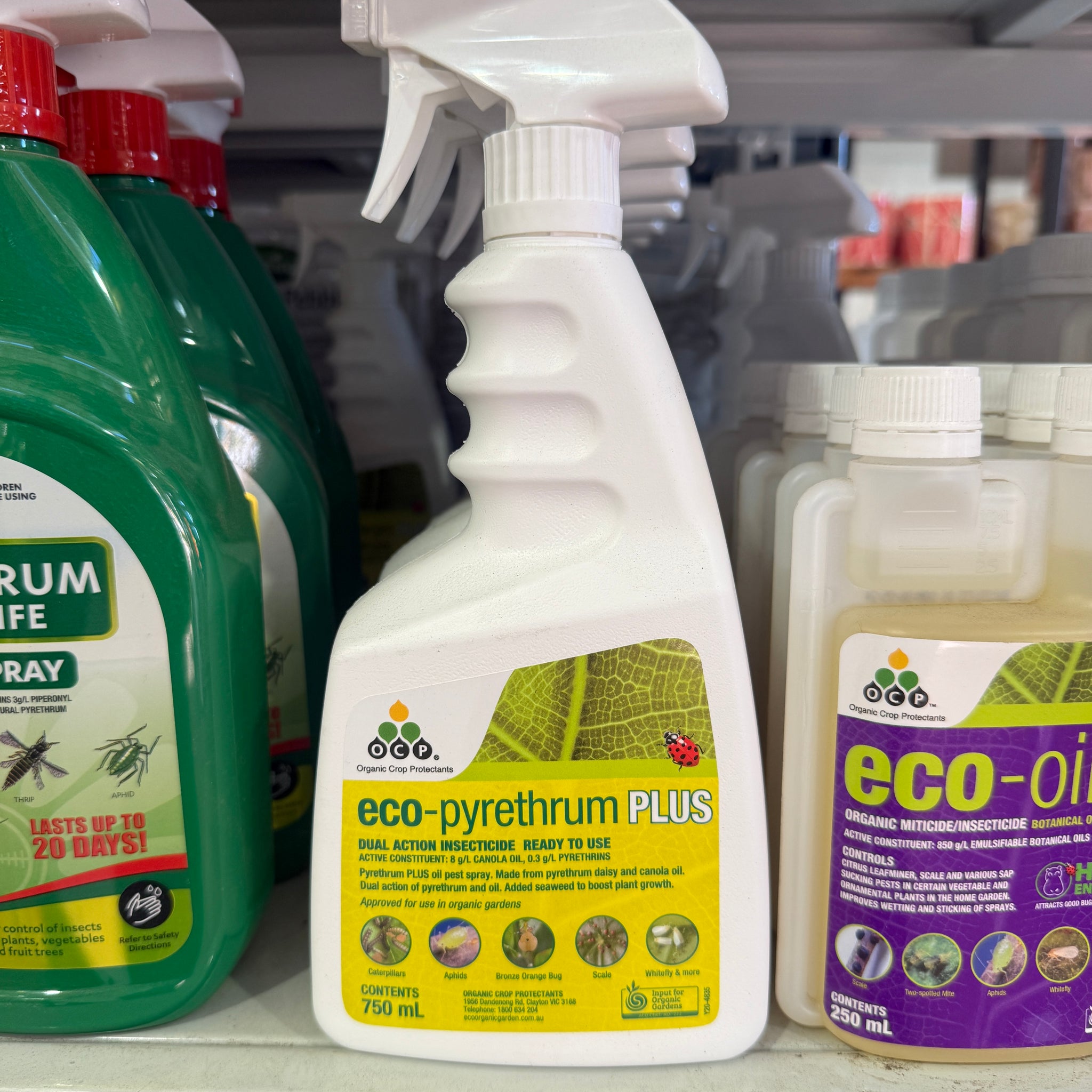 OCP Eco Pyrethrum Plus PTU 750mL
