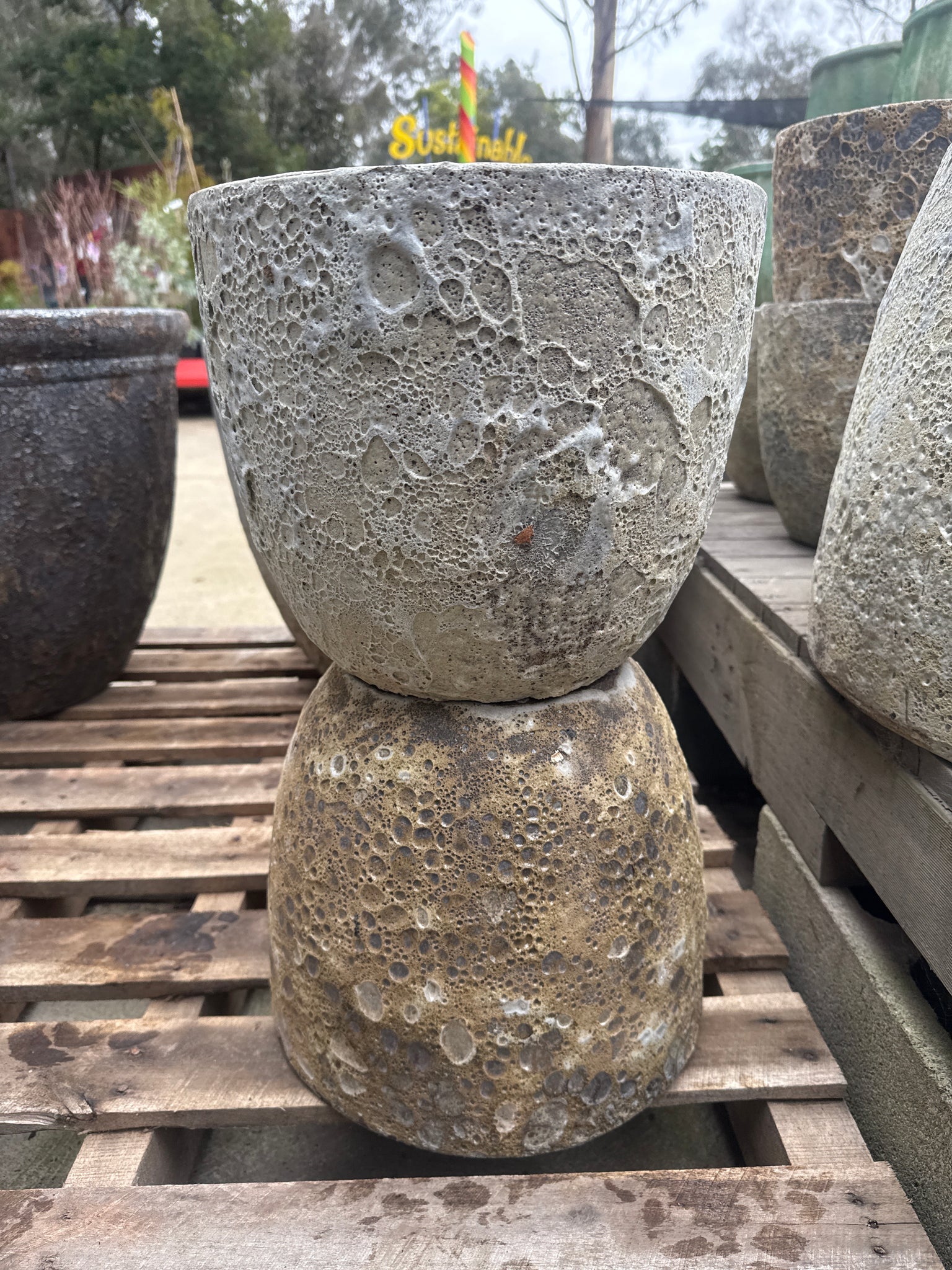 Lava Rock Egg Pot S