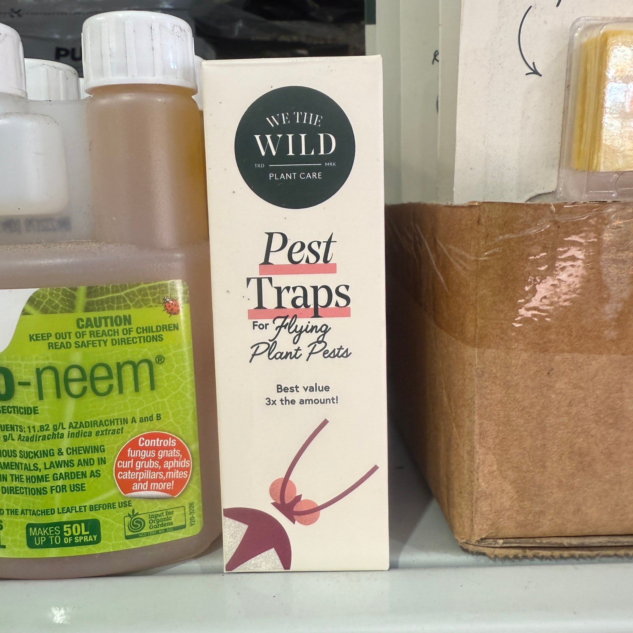 We The Wild Compostable Gnat Trap Refill