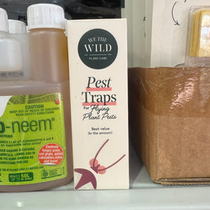 We The Wild Compostable Gnat Trap Refill