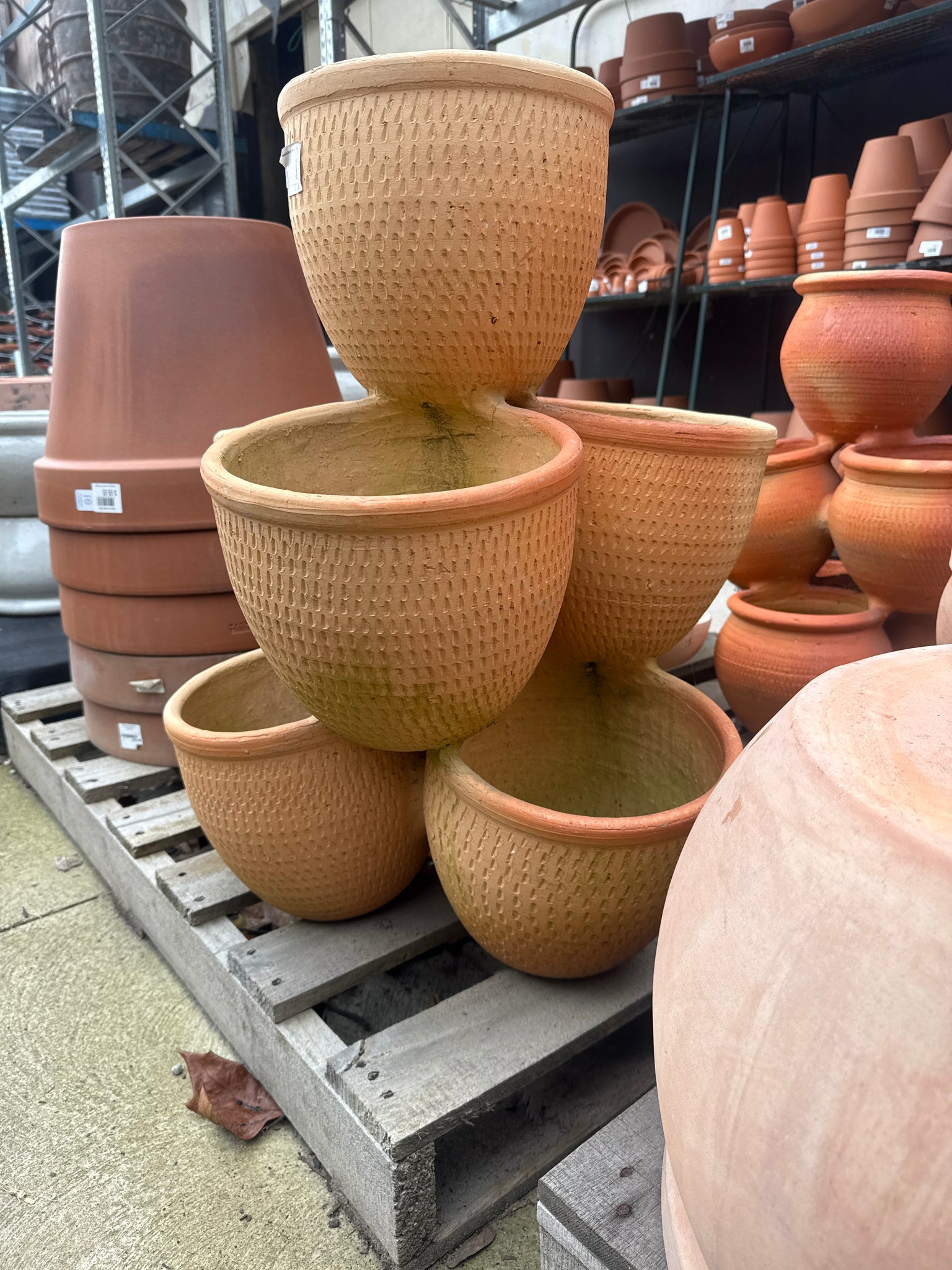 Herb Pot XXL Terracotta