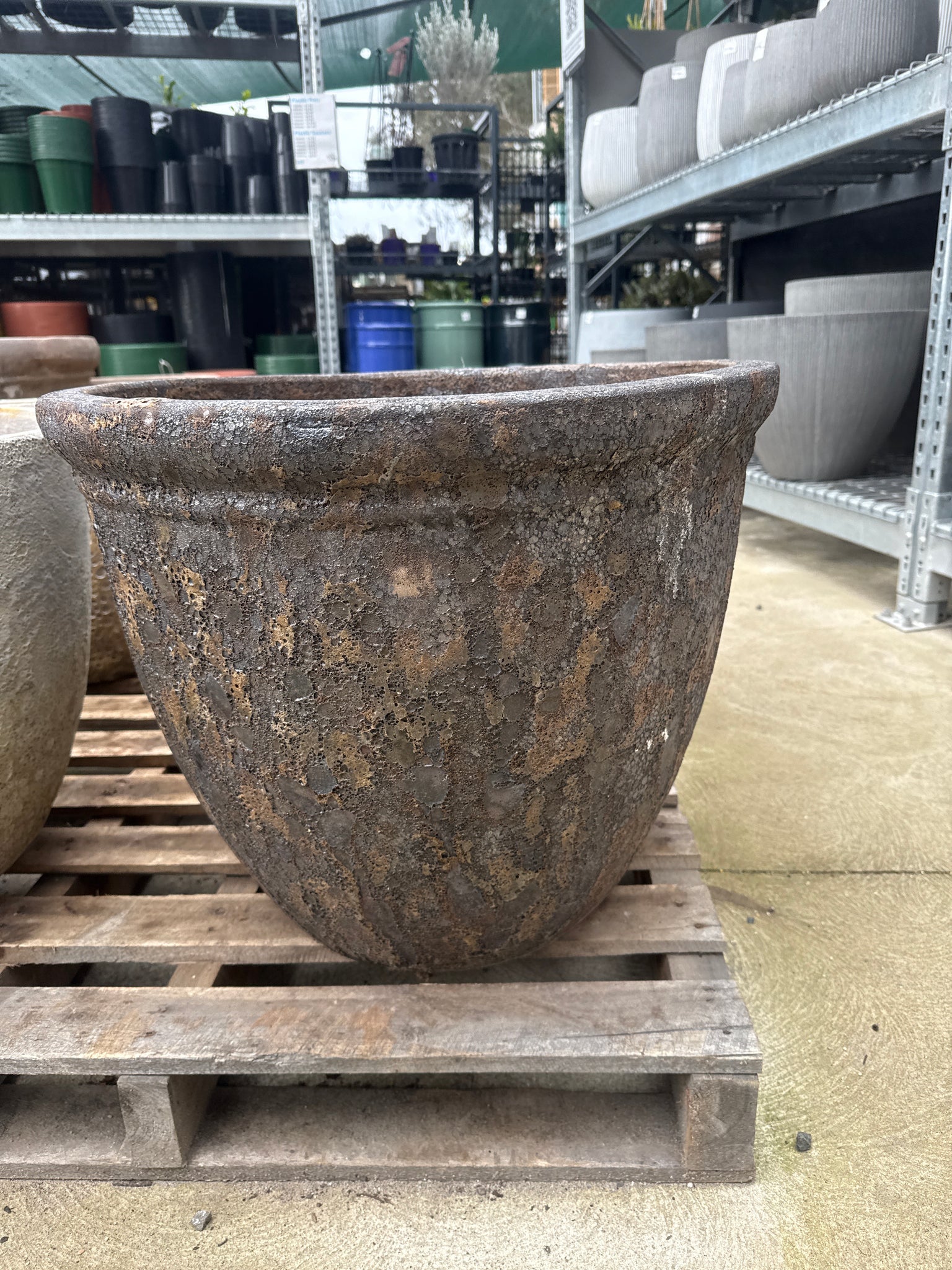 Lava Rock Rimmed Egg Pot Brown Large 59 x 52cm
