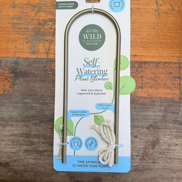 We The Wild Self-Watering Plant Climber