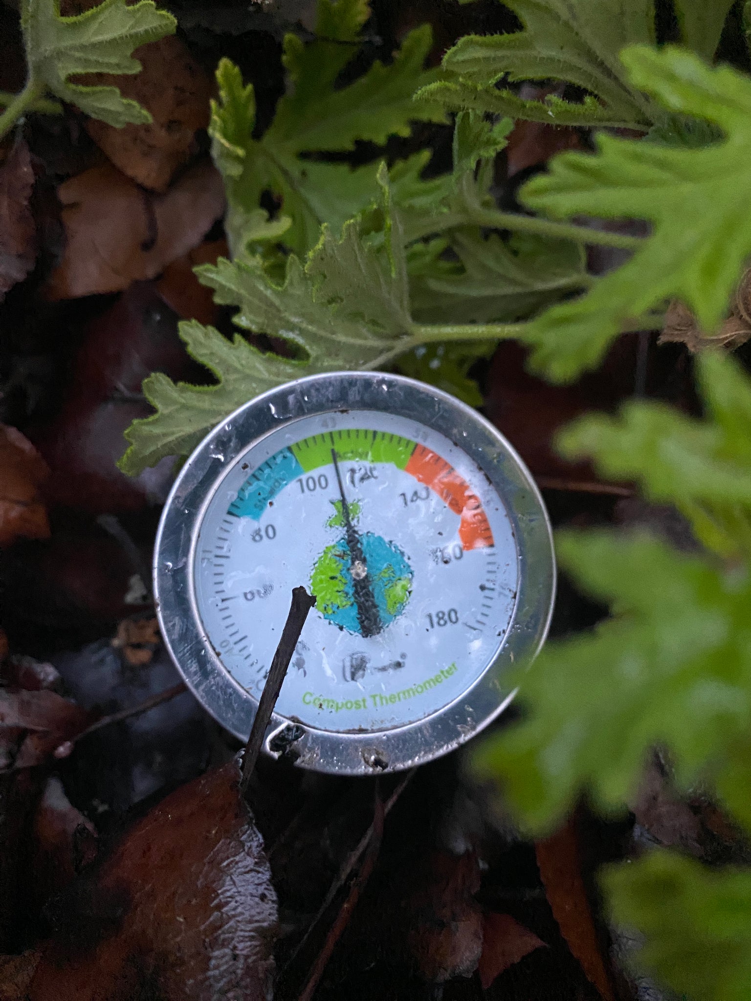 Compost Thermometer 50 Cm