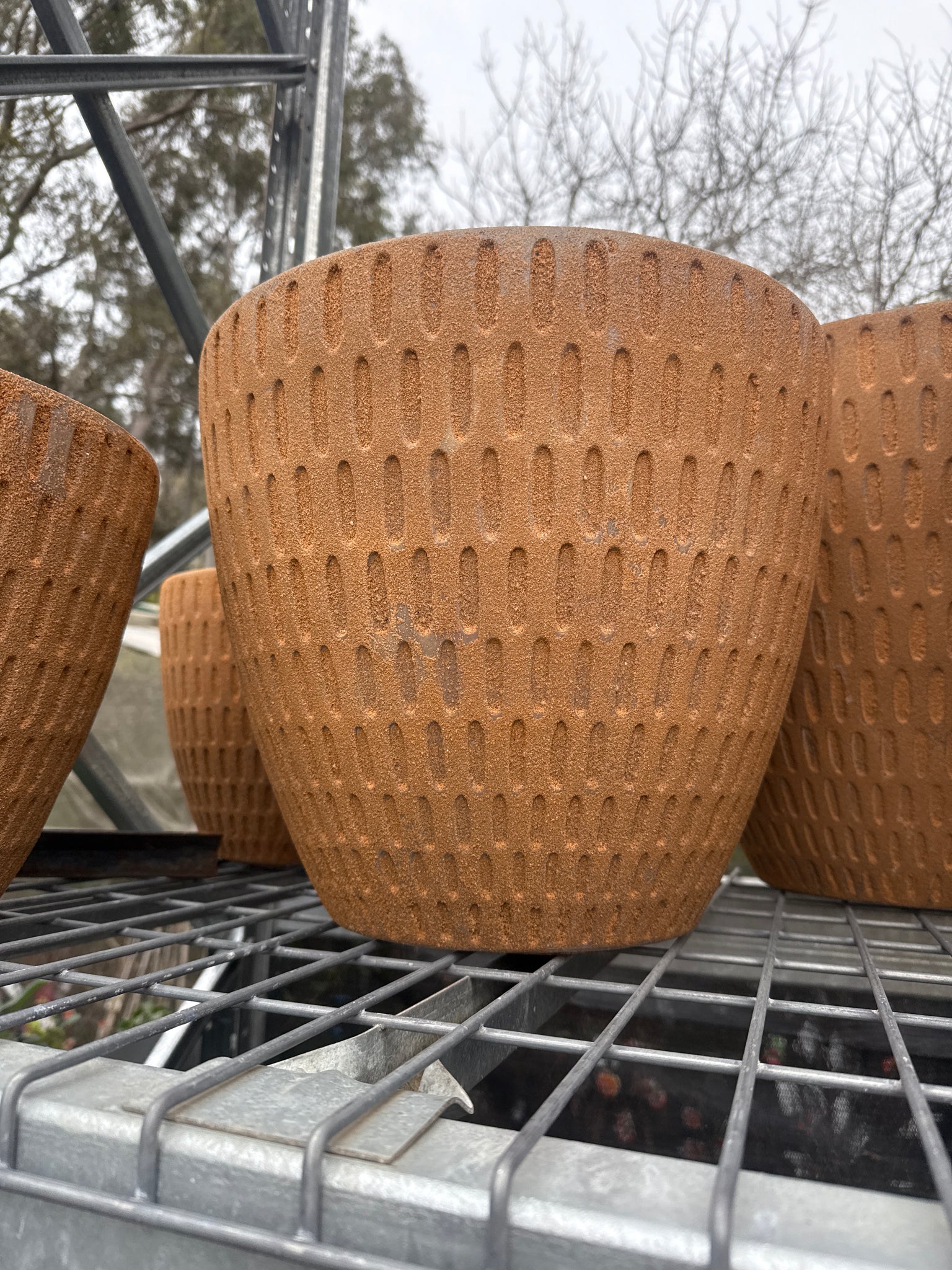 Pisces Egg Pot Medium Rustic