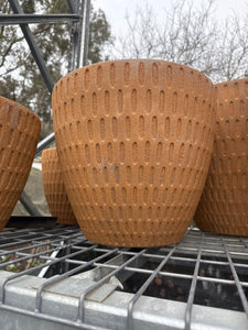Pisces Egg Pot Medium Rustic