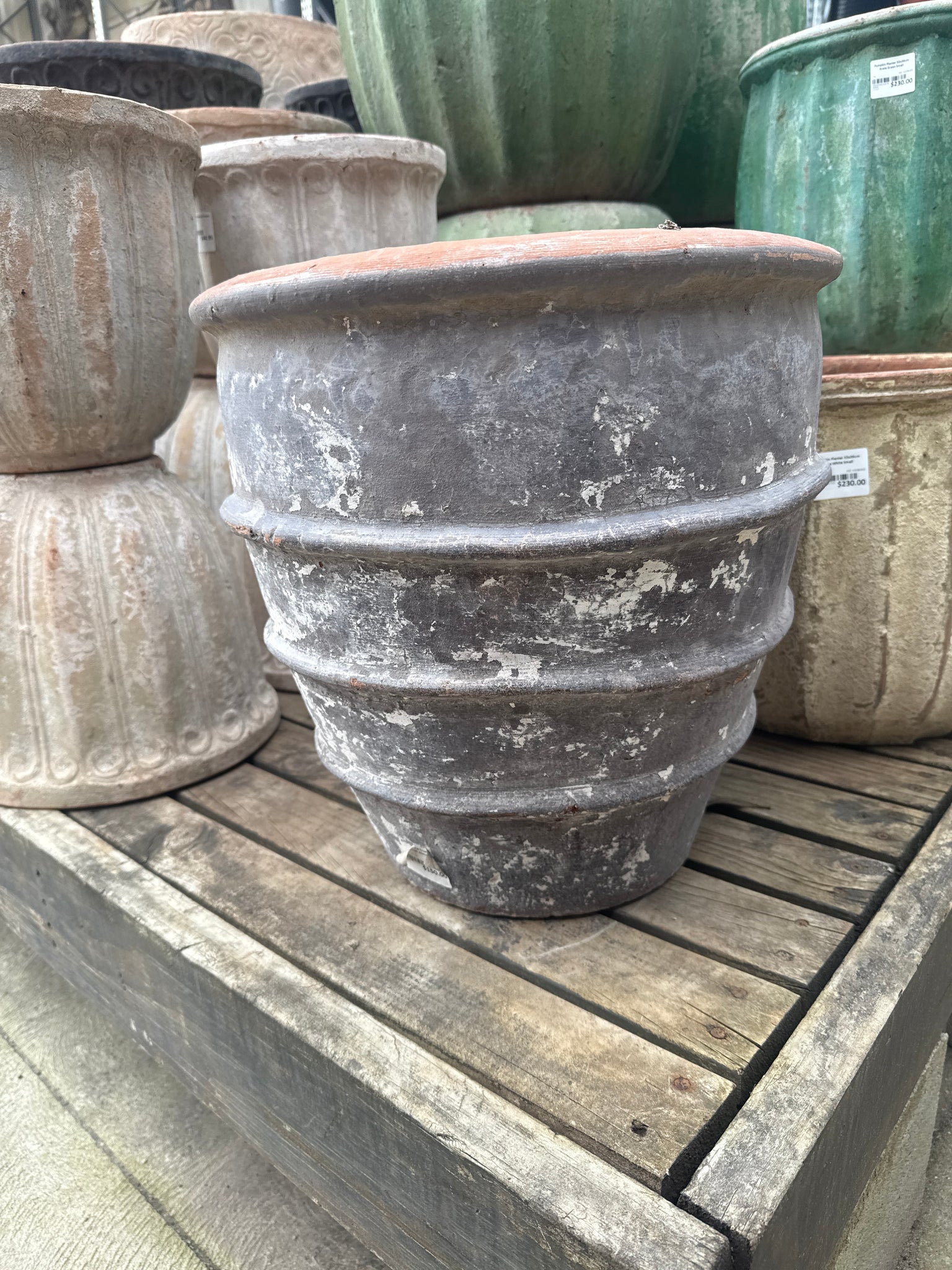 XL 4 Band Pie Crust Tree Planter XSmall
