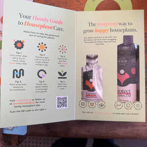 We The Wild Proud Plant Parent Kit