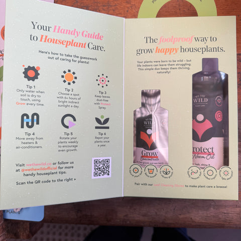 We The Wild Proud Plant Parent Kit