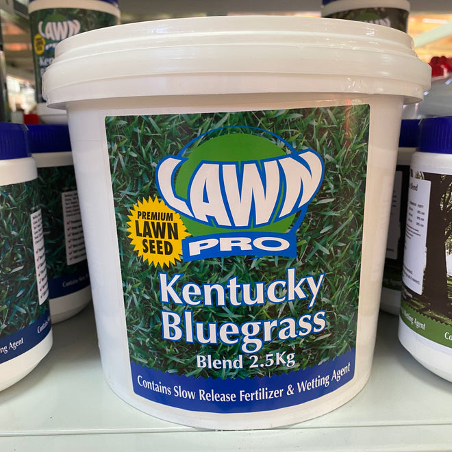 Lawn