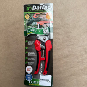 Compound Action Pruner