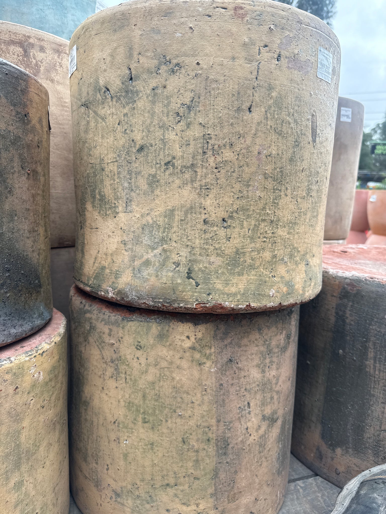 Mid Cylinder Medium 42cn x 37cm Dynasty Green