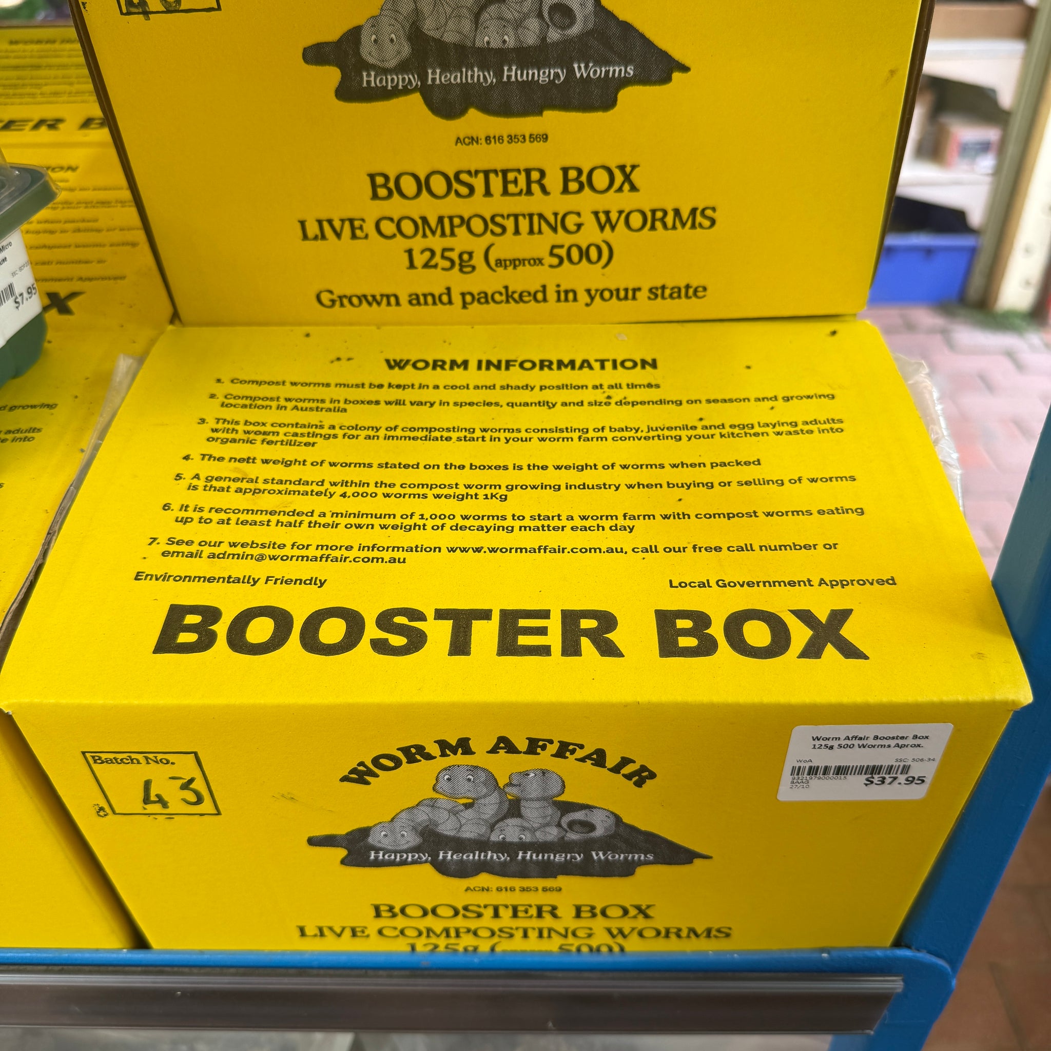 booster box worms Amazon.com : rebelFIN - Duo-Top Worm Box - Live Bait container for  Nightcrawler Red Worms main image 1