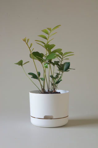 Mr Kitly Self Watering Pot White Linen 215mm