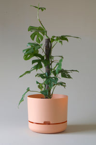 Mr Kitly Self Watering Pot Pale Apricot 300mm