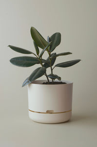 Mr Kitly Self Watering Pot White Linen 300mm