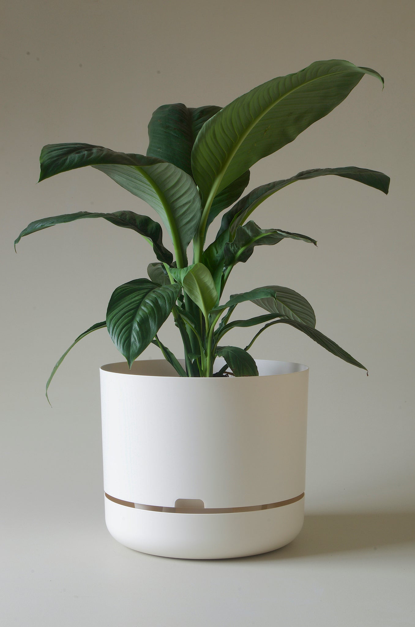 Mr Kitly Self Watering Pot White Linen 375mm