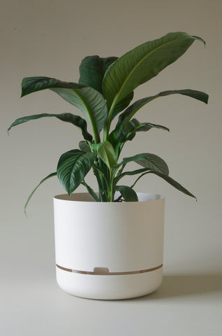 Mr Kitly Self Watering Pot White Linen 375mm